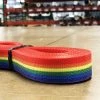 HKOutdoors Narrow Goods 1" Polyester Webbing 1500 Lb - Rainbow 2 HKOutdoors Narrow Goods 1" Polyester Webbing 1500 Lb - Rainbow
