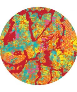 Ripstop By The Roll NEW! 1" Polyester Webbing 1500 Lb - Kryptek® 19 Ripstop By The Roll NEW! 1