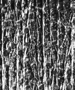 Ripstop By The Roll LiteSkin® LS07 - Full Roll X-Pac® 9 Ripstop By The Roll LiteSkin® LS07 - Full Roll X-Pac®