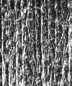 Ripstop By The Roll X-Pac® LiteSkin® LS21 - Full Roll