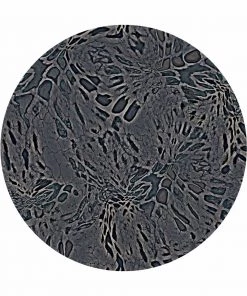 OutdoorINK Prym1 Camo - Print On-Demand Fabric 40 OutdoorINK Prym1 Camo - Print On-Demand Fabric