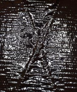 Ripstop By The Roll X-Pac® RX15 - Full Roll