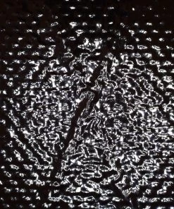 Ripstop By The Roll X-Pac® RX36 - Full Roll